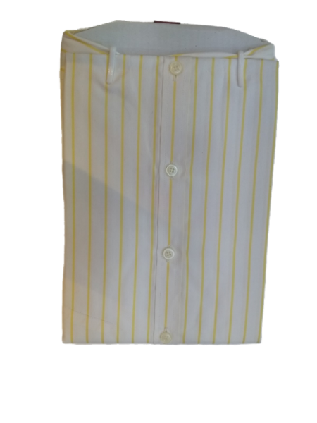 ZADE SHIRT -  Regular, Slim Fit Full Sleeve, STRIPE Cotton Shirt for Men -591076